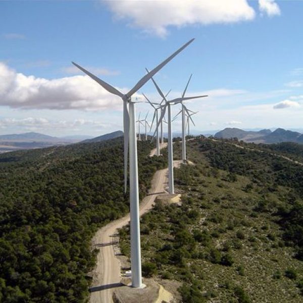 PARQUE-EOLICO-SIERRA-DE-LAS-CABRAS-2019